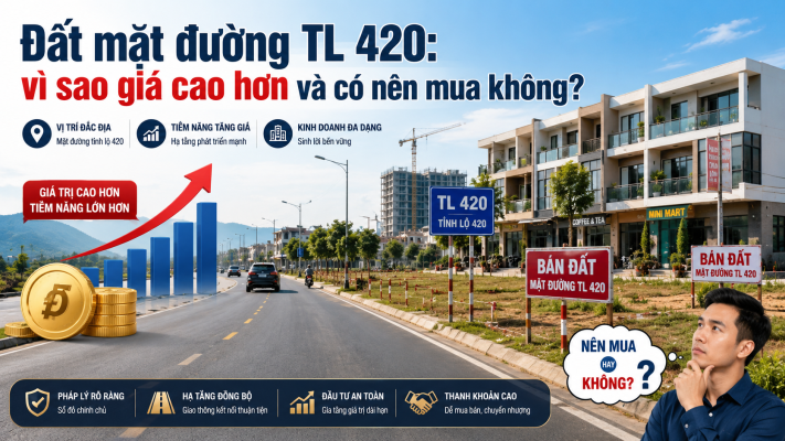 Đất mặt đường TL 420 vì sao giá cao hơn và có nên mua không