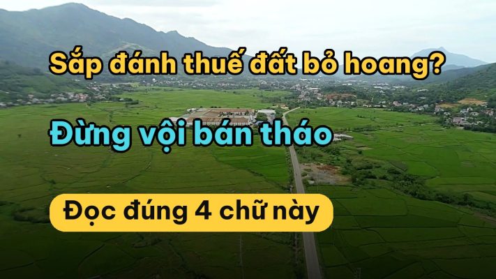 Đất bỏ hoang bị thu hồi khi nào? 5 tình huống người giữ đất hay hỏi