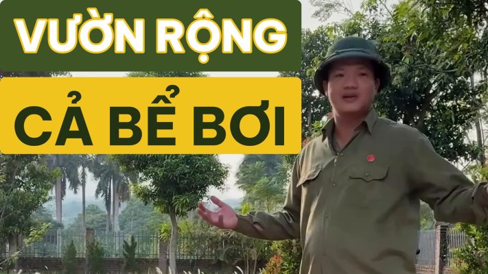 Đất nền Hòa Lạc 362 m² Phú Gia Viên Phú Mãn xây biệt thự